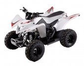 2012 Aeon Cobra 50 photo